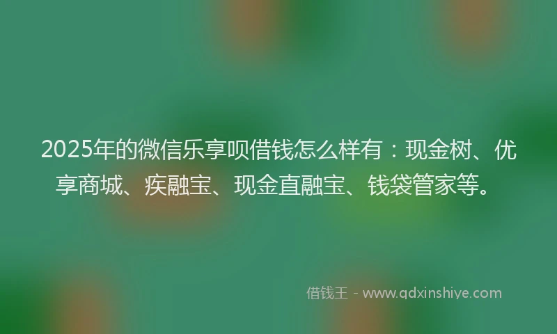 2025年的微信乐享呗借钱怎么样有：现金树、优享商城、疾融宝、现金直融宝、钱袋管家等。