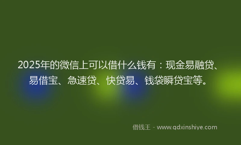 2025年的微信上可以借什么钱有：现金易融贷、易借宝、急速贷、快贷易、钱袋瞬贷宝等。