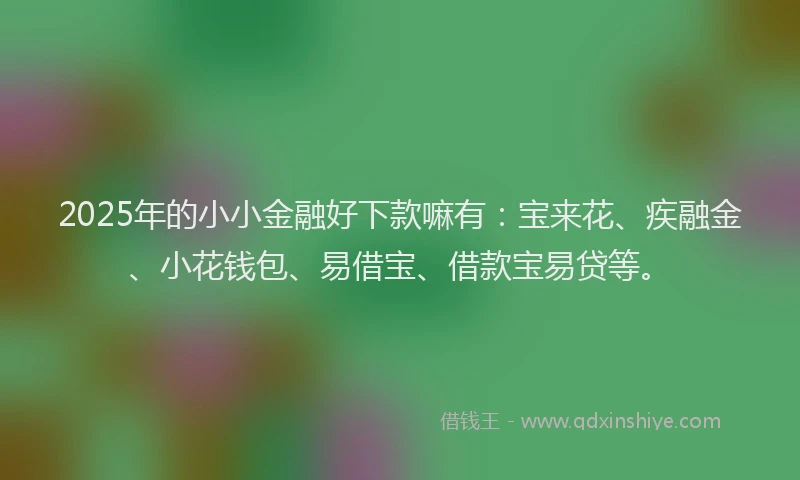 2025年的小小金融好下款嘛有：宝来花、疾融金、小花钱包、易借宝、借款宝易贷等。