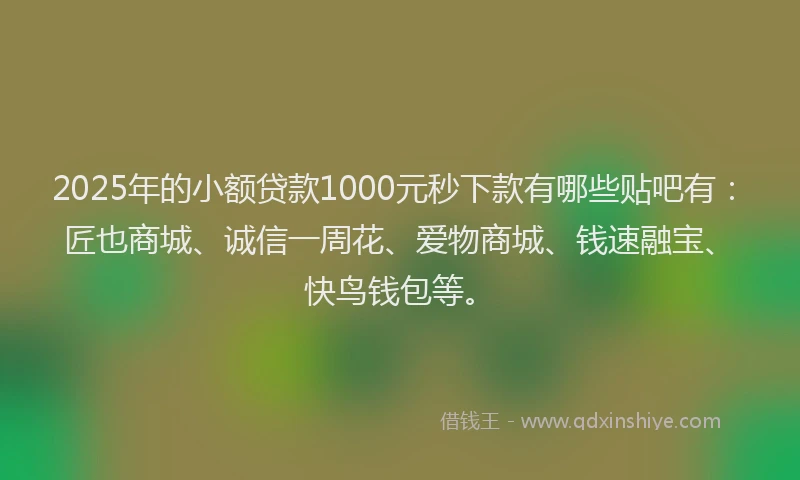 2025年的小额贷款1000元秒下款有哪些贴吧有：匠也商城、诚信一周花、爱物商城、钱速融宝、快鸟钱包等。