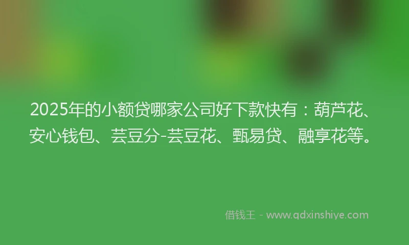 2025年的小额贷哪家公司好下款快有：葫芦花、安心钱包、芸豆分-芸豆花、甄易贷、融享花等。