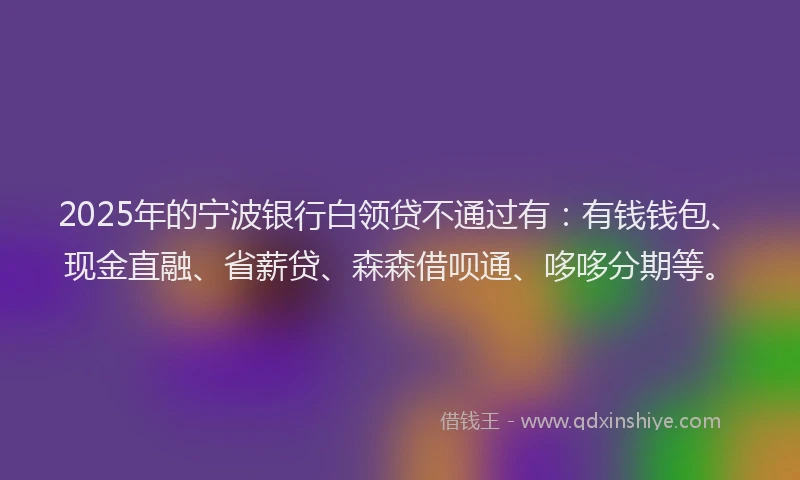 2025年的宁波银行白领贷不通过有：有钱钱包、现金直融、省薪贷、森森借呗通、哆哆分期等。