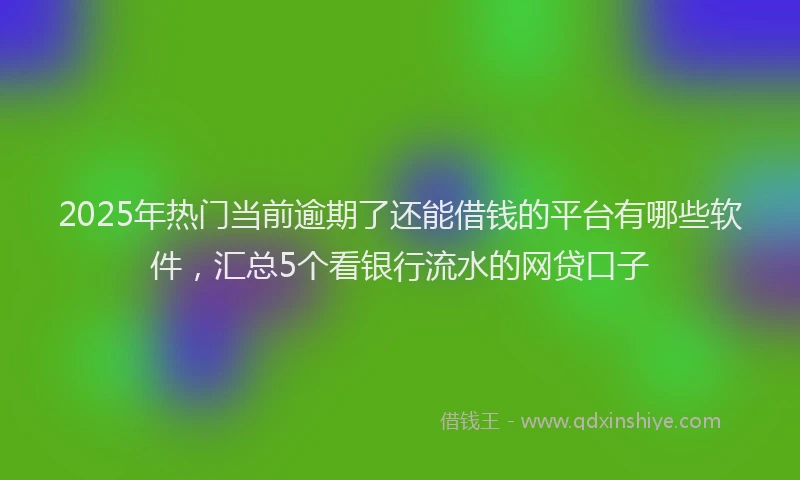 2025年热门当前逾期了还能借钱的平台有哪些软件，汇总5个看银行流水的网贷口子