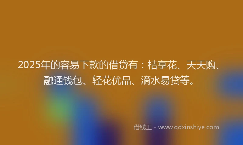 2025年的容易下款的借贷有：桔享花、天天购、融通钱包、轻花优品、滴水易贷等。