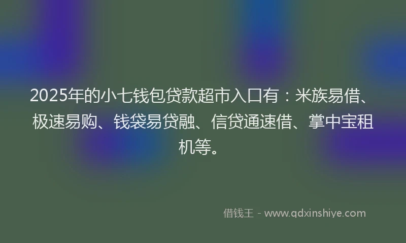 2025年的小七钱包贷款超市入口有：米族易借、极速易购、钱袋易贷融、信贷通速借、掌中宝租机等。