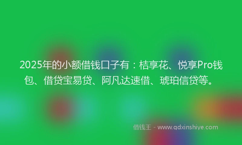 2025年的小额借钱口子有：桔享花、悦享Pro钱包、借贷宝易贷、阿凡达速借、琥珀信贷等。