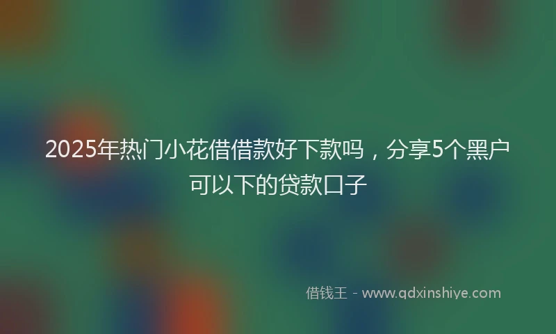 2025年热门小花借借款好下款吗，分享5个黑户可以下的贷款口子