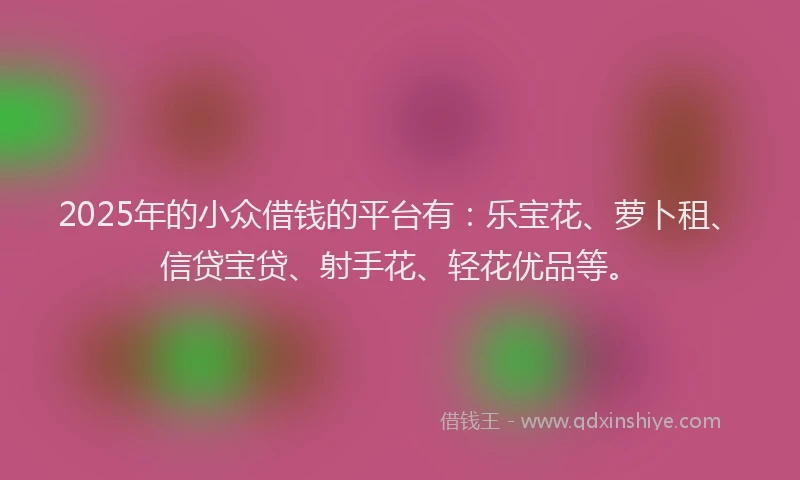 2025年的小众借钱的平台有：乐宝花、萝卜租、信贷宝贷、射手花、轻花优品等。