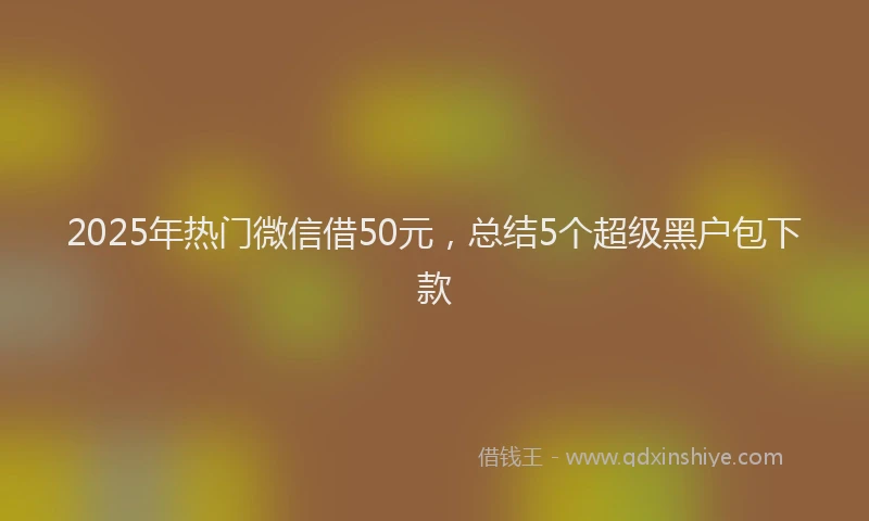 2025年热门微信借50元，总结5个超级黑户包下款