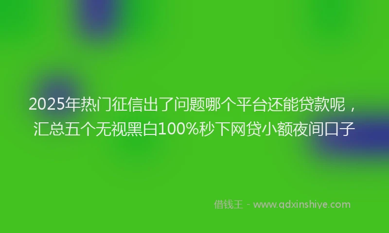 2025年热门征信出了问题哪个平台还能贷款呢，汇总五个无视黑白100%秒下网贷小额夜间口子