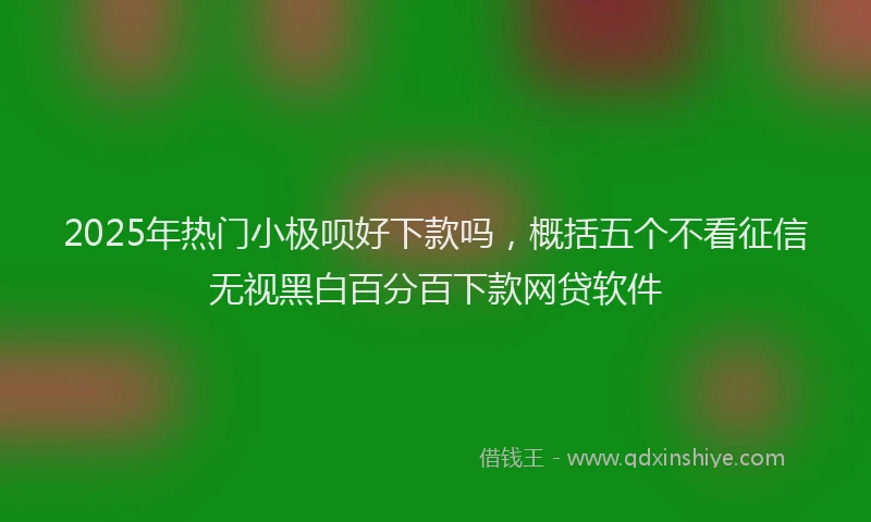 2025年热门小极呗好下款吗，概括五个不看征信无视黑白百分百下款网贷软件