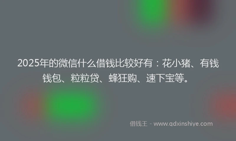 2025年的微信什么借钱比较好有：花小猪、有钱钱包、粒粒贷、蜂狂购、速下宝等。