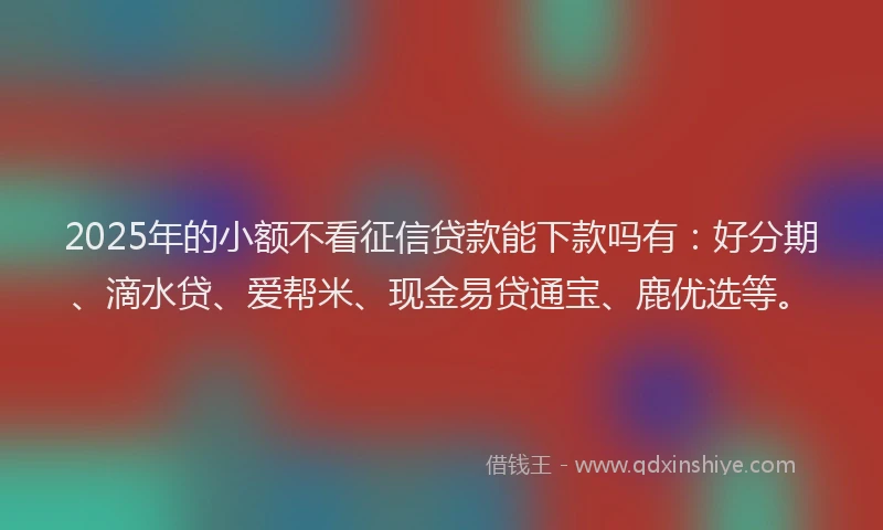 2025年的小额不看征信贷款能下款吗有：好分期、滴水贷、爱帮米、现金易贷通宝、鹿优选等。
