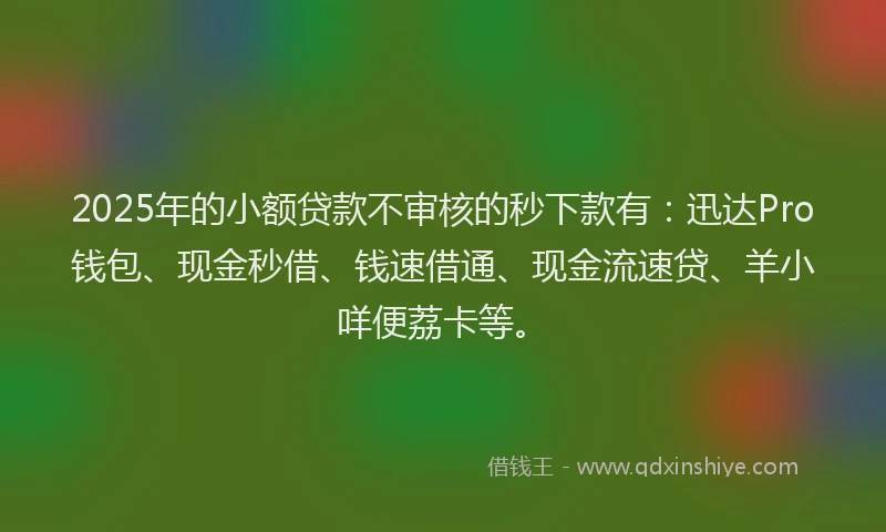2025年的小额贷款不审核的秒下款有：迅达Pro钱包、现金秒借、钱速借通、现金流速贷、羊小咩便荔卡等。