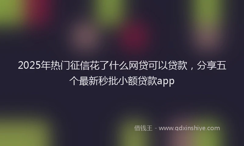 2025年热门征信花了什么网贷可以贷款，分享五个最新秒批小额贷款app