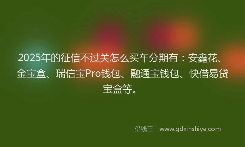 2025年的征信不过关怎么买车分期有：安鑫花、金宝盒、瑞信宝Pro钱包、融通宝钱包、快借易贷宝盒等。