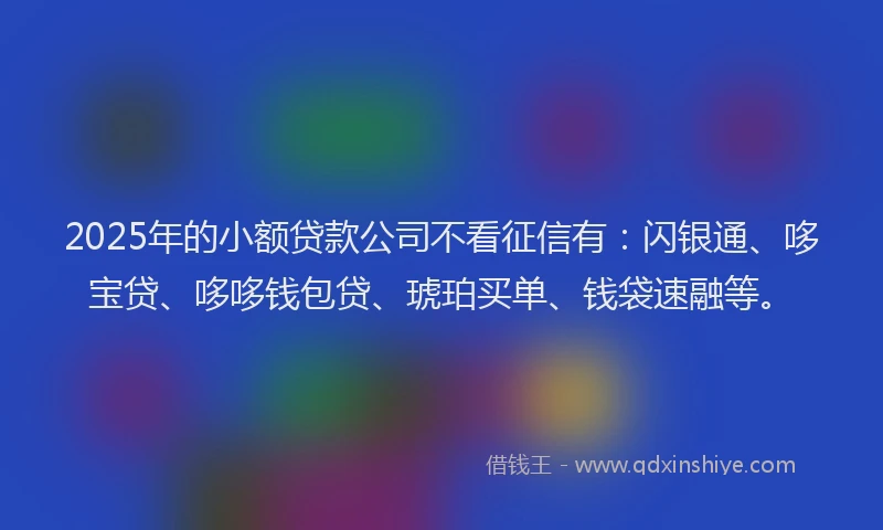 2025年的小额贷款公司不看征信有：闪银通、哆宝贷、哆哆钱包贷、琥珀买单、钱袋速融等。