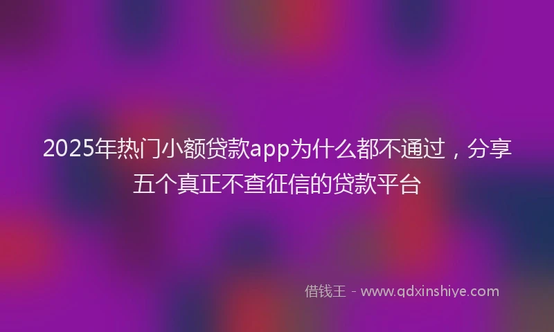2025年热门小额贷款app为什么都不通过，分享五个真正不查征信的贷款平台