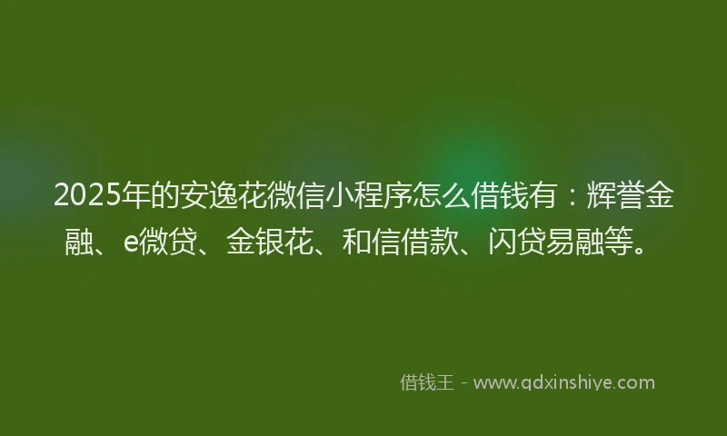 2025年的安逸花微信小程序怎么借钱有：辉誉金融、e微贷、金银花、和信借款、闪贷易融等。