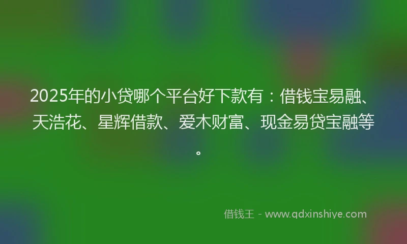 2025年的小贷哪个平台好下款有：借钱宝易融、天浩花、星辉借款、爱木财富、现金易贷宝融等。
