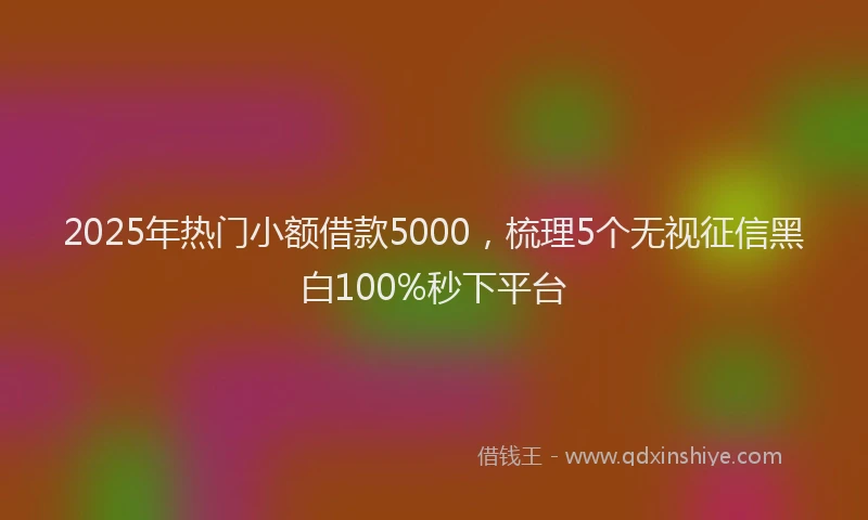 2025年热门小额借款5000，梳理5个无视征信黑白100%秒下平台