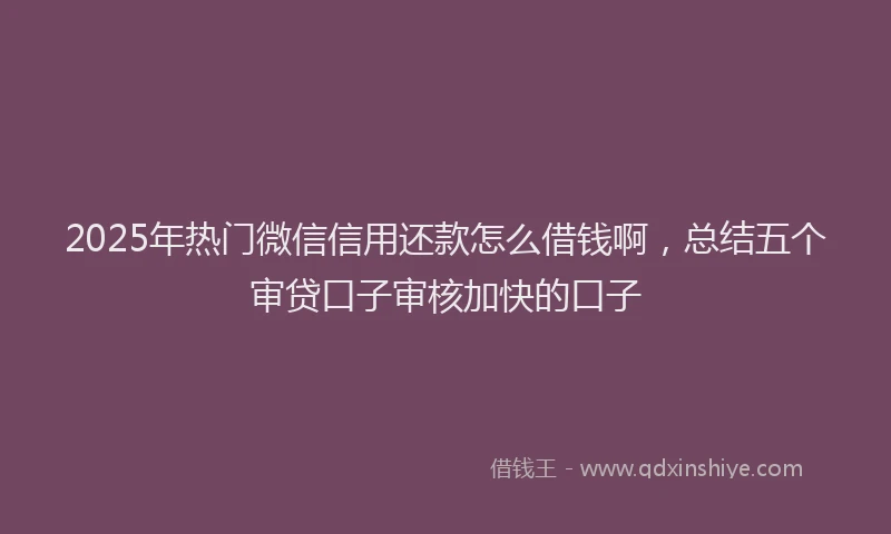 2025年热门微信信用还款怎么借钱啊，总结五个审贷口子审核加快的口子