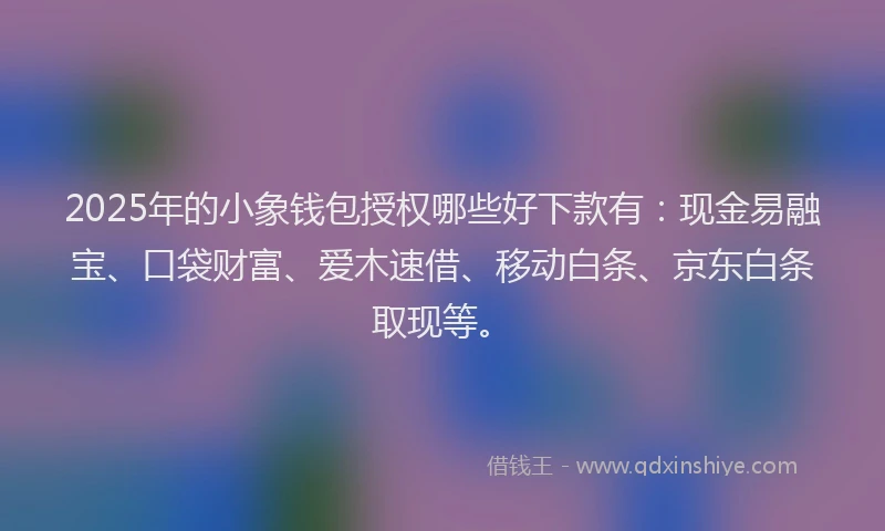 2025年的小象钱包授权哪些好下款有：现金易融宝、口袋财富、爱木速借、移动白条、京东白条取现等。