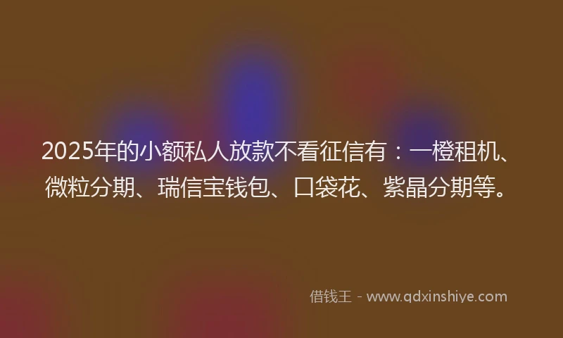 2025年的小额私人放款不看征信有：一橙租机、微粒分期、瑞信宝钱包、口袋花、紫晶分期等。