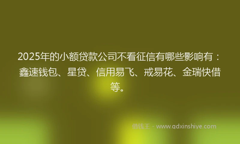 2025年的小额贷款公司不看征信有哪些影响有：鑫速钱包、星贷、信用易飞、戒易花、金瑞快借等。