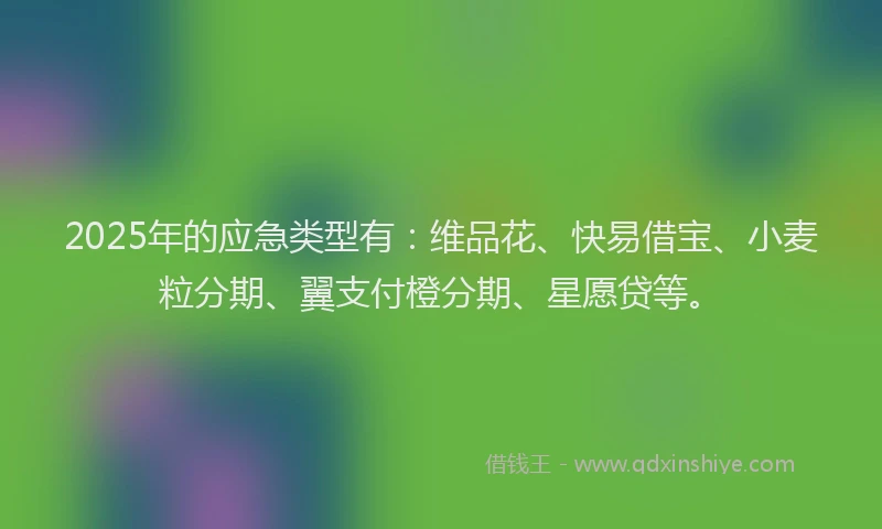 2025年的应急类型有：维品花、快易借宝、小麦粒分期、翼支付橙分期、星愿贷等。