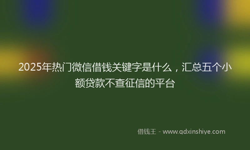 2025年热门微信借钱关键字是什么，汇总五个小额贷款不查征信的平台