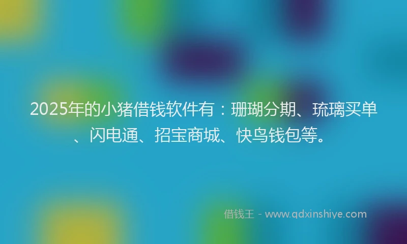 2025年的小猪借钱软件有：珊瑚分期、琉璃买单、闪电通、招宝商城、快鸟钱包等。