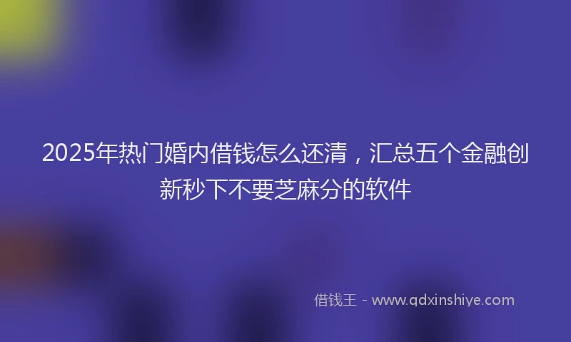 2025年热门婚内借钱怎么还清，汇总五个金融创新秒下不要芝麻分的软件