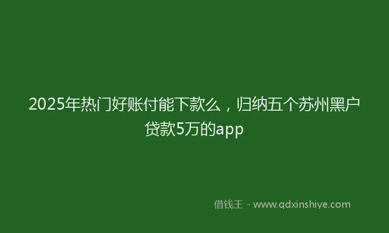 2025年热门好账付能下款么，归纳五个苏州黑户贷款5万的app