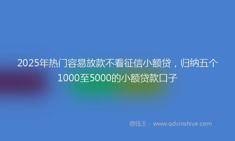 2025年热门容易放款不看征信小额贷，归纳五个1000至5000的小额贷款口子