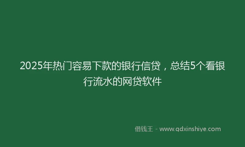 2025年热门容易下款的银行信贷，总结5个看银行流水的网贷软件