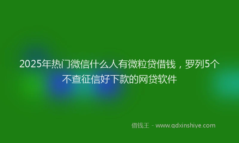 2025年热门微信什么人有微粒贷借钱，罗列5个不查征信好下款的网贷软件