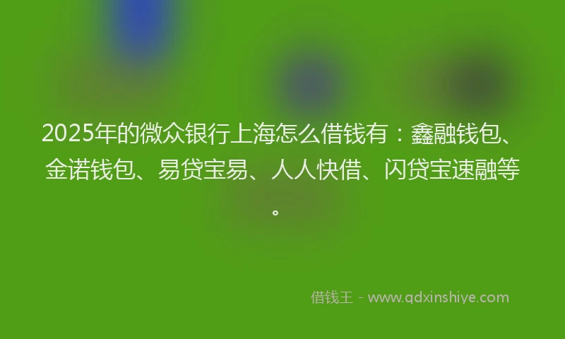 2025年的微众银行上海怎么借钱有：鑫融钱包、金诺钱包、易贷宝易、人人快借、闪贷宝速融等。