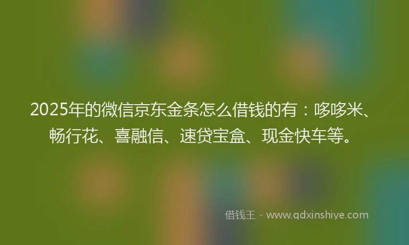 2025年的微信京东金条怎么借钱的有：哆哆米、畅行花、喜融信、速贷宝盒、现金快车等。