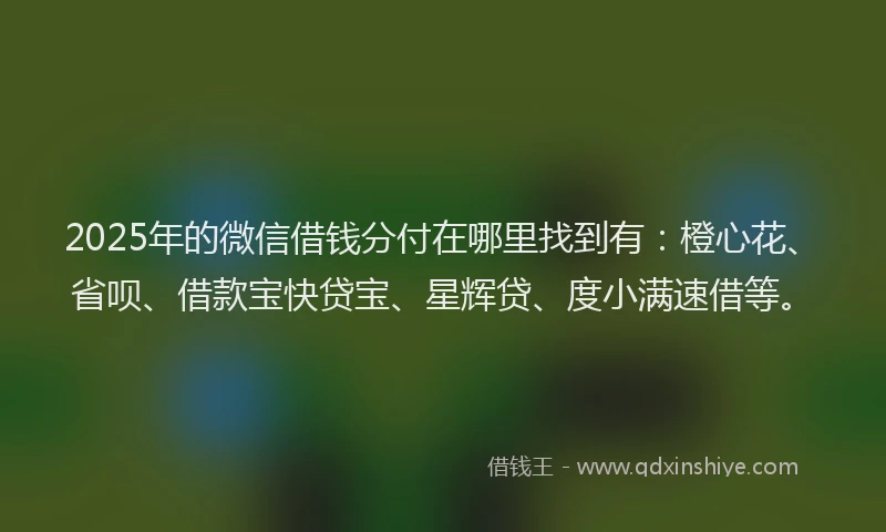 2025年的微信借钱分付在哪里找到有：橙心花、省呗、借款宝快贷宝、星辉贷、度小满速借等。