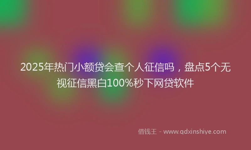 2025年热门小额贷会查个人征信吗，盘点5个无视征信黑白100%秒下网贷软件
