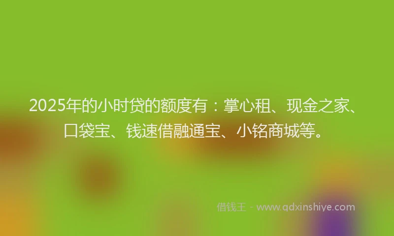2025年的小时贷的额度有：掌心租、现金之家、口袋宝、钱速借融通宝、小铭商城等。