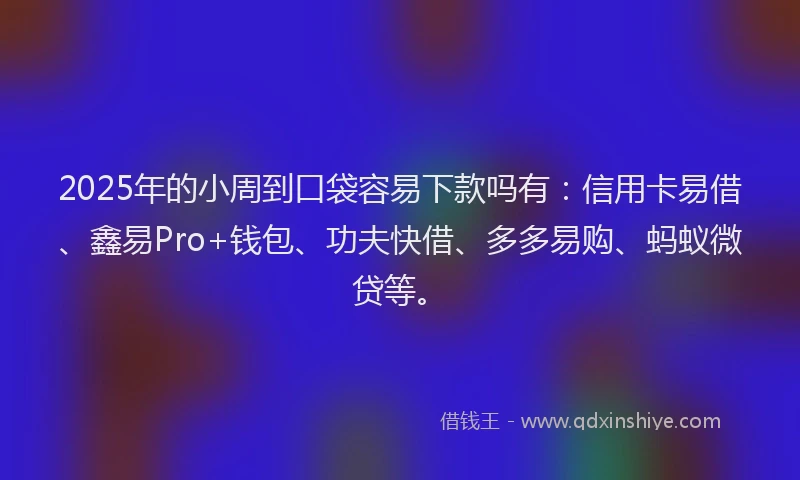 2025年的小周到口袋容易下款吗有：信用卡易借、鑫易Pro+钱包、功夫快借、多多易购、蚂蚁微贷等。