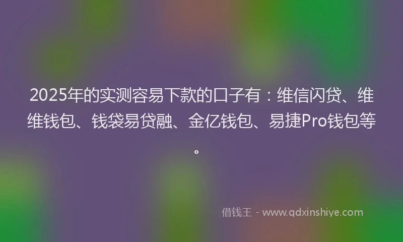 2025年的实测容易下款的口子有：维信闪贷、维维钱包、钱袋易贷融、金亿钱包、易捷Pro钱包等。