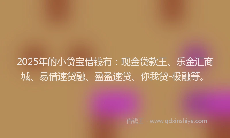 2025年的小贷宝借钱有：现金贷款王、乐金汇商城、易借速贷融、盈盈速贷、你我贷-极融等。
