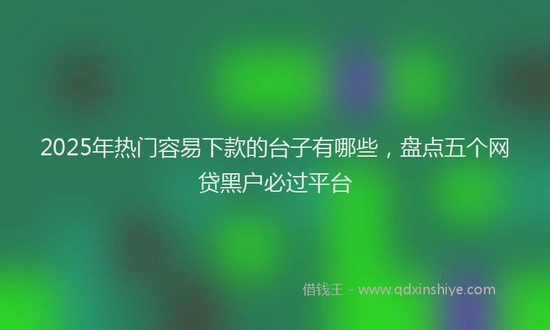 2025年热门容易下款的台子有哪些，盘点五个网贷黑户必过平台