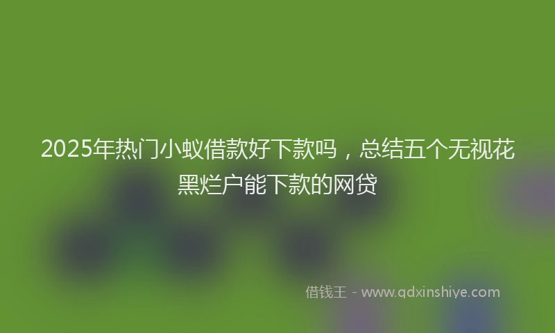 2025年热门小蚁借款好下款吗，总结五个无视花黑烂户能下款的网贷