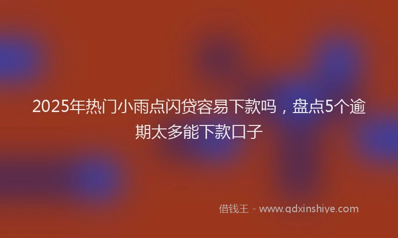 2025年热门小雨点闪贷容易下款吗，盘点5个逾期太多能下款口子