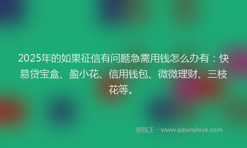 2025年的如果征信有问题急需用钱怎么办有：快易贷宝盒、盈小花、信用钱包、微微理财、三枝花等。