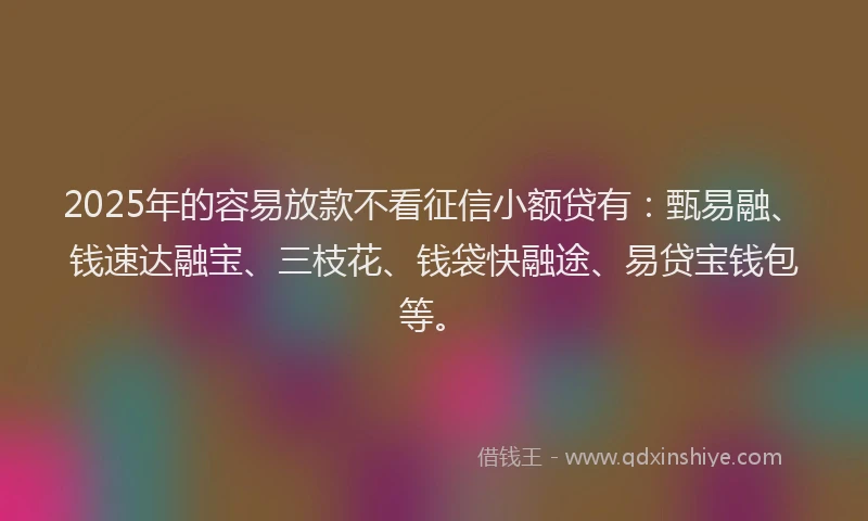 2025年的容易放款不看征信小额贷有：甄易融、钱速达融宝、三枝花、钱袋快融途、易贷宝钱包等。